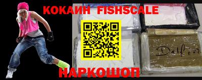 spice Кингисепп