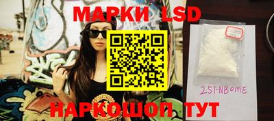 spice Кингисепп