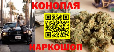 spice Кингисепп