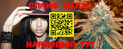 spice Кингисепп
