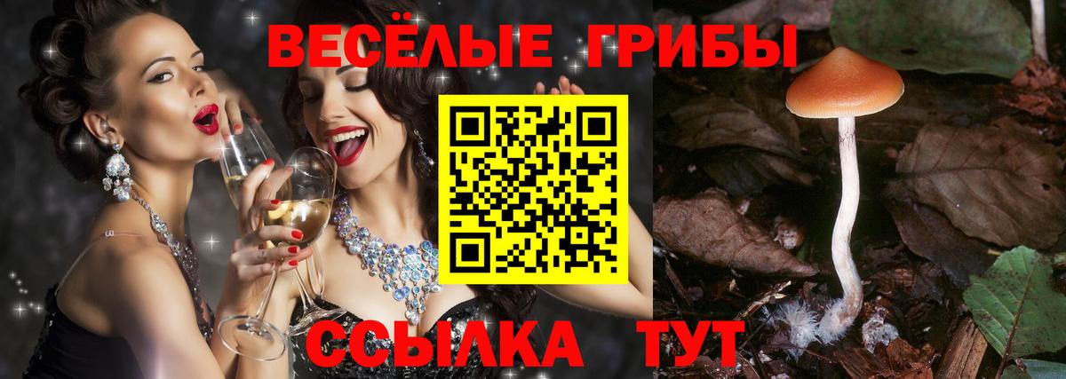 Псилоцибиновые грибы Magic Shrooms Кыштым