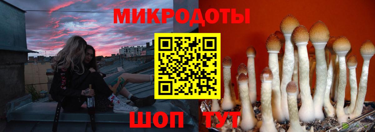 Галлюциногенные грибы Magic Shrooms  Вход с VPN  Кыштым 